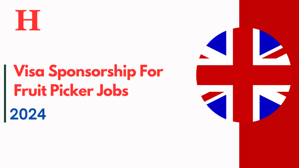 Visa Sponsorship For Fruit Picker Jobs in the UK Oct 2024: Earn (£13.50 – £14.50 an Hour)